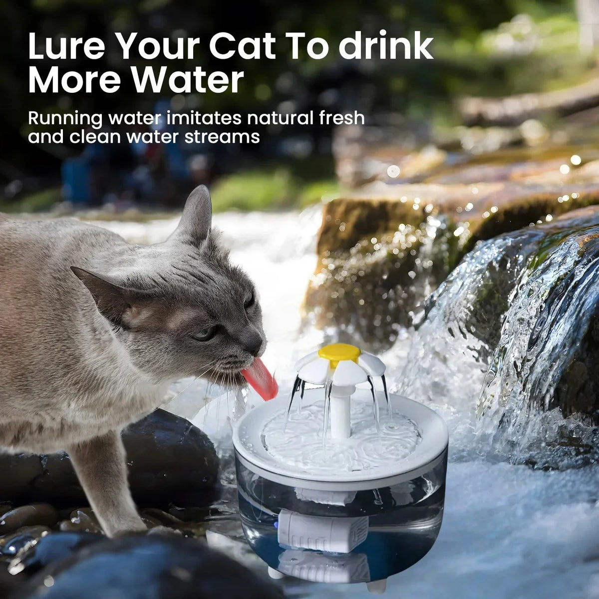 Pet Water Fountain with 4 Filters Auto Filter USB Electric Cat Drinker Bowl 1200mL Recirculate Filtring Cat Water Dispenser