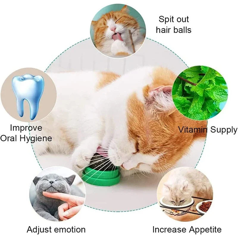 Catnip Balls Funny Lickable Cat Snack Catnip Balls Kitten Playing Chewing Cleaning Teeth Toy For Small Medium Cats pet supplies