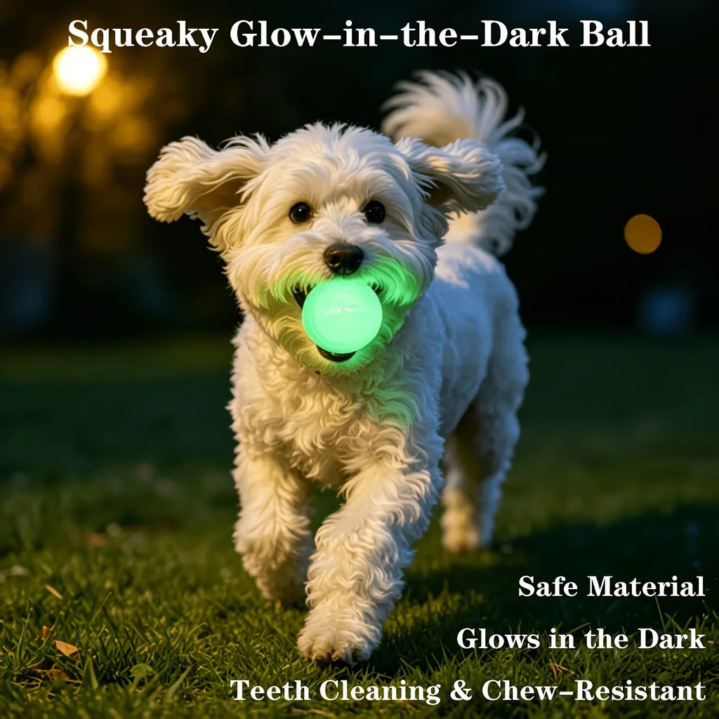 2/3Pcs Glow In The Dark Dog Squeaky Ball Toy, Bite Resistant Elastic TPR Rubber Teeth Cleaning Chew Ball, Random Colors