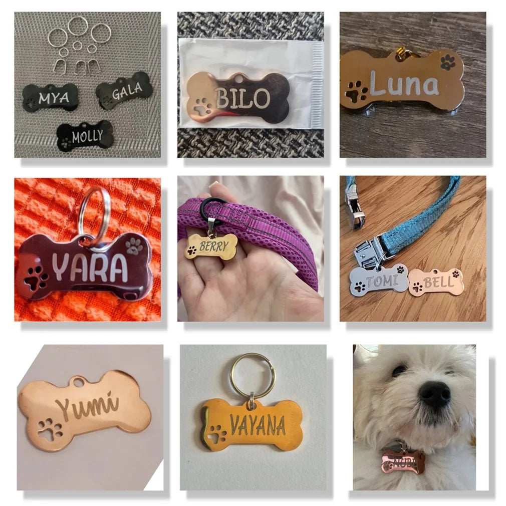 Pet ID Tag Personalized Free Engraved Keychain for Cat Puppy Dog Tag Pendant Keyring Bone Paw Bone Pet Accessories