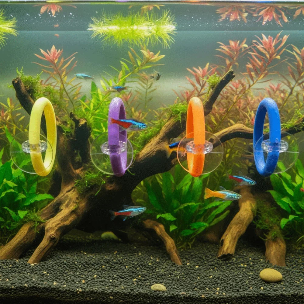 4PCS/SET Suction Cup Fish Training Ring Colorful Fish Tail Toy Betta Training Circle Waterproof Fish Tank Decorative Ring