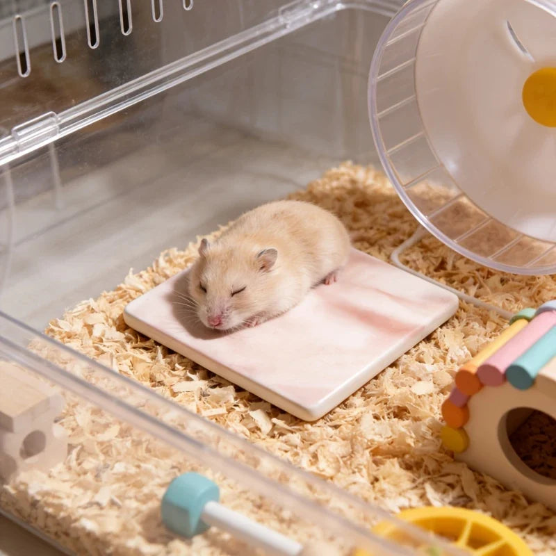 Square Hamster Cooling Pad Chew-proof and Tip-resistant Cooling Mat Cooling Pad for Hamsters Small Pet Easy To Clean